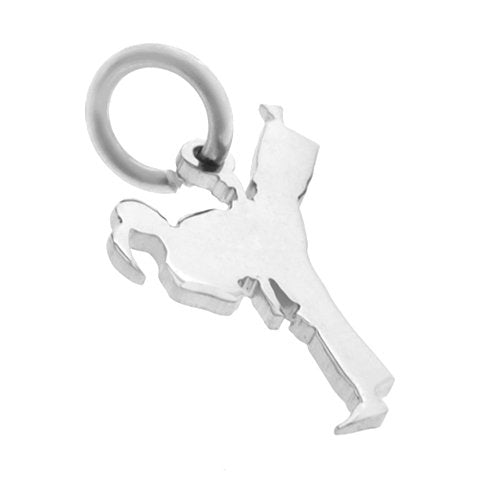 Dije acero quirurgico taekwondo 2.7 cm D&K / 500DP-62